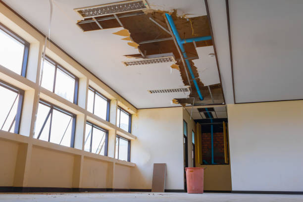 Best Local water damage restoration  in Freedom, PA
