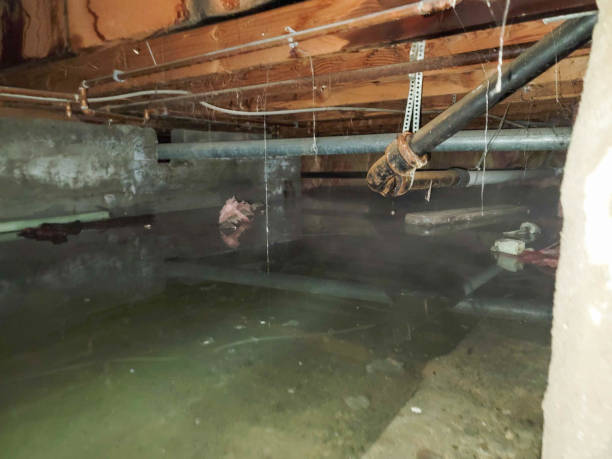 Best 24-hour water damage restoration  in Freedom, PA