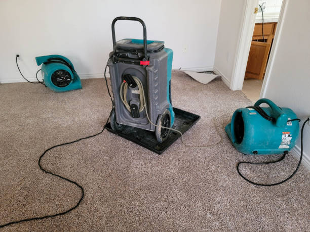 Best Water damage restoration near me  in Freedom, PA