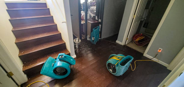 Best Water damage restoration near me  in Freedom, PA