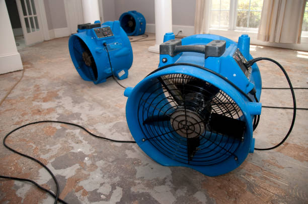 Best 24/7 water damage repair  in Freedom, PA