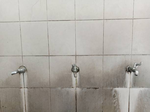 Best Professional water damage repair  in Freedom, PA