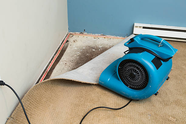 Best Sewage cleanup and water damage restoration  in Freedom, PA